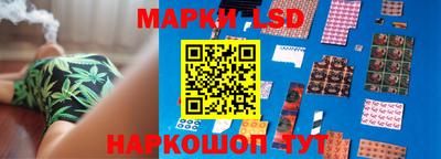 дмт Будённовск