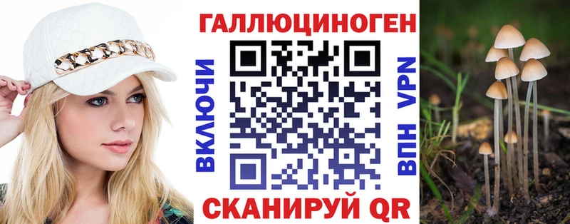 Галлюциногенные грибы Psilocybe  Волгодонск 