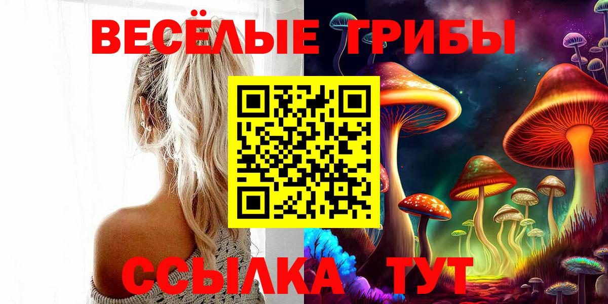 Псилоцибиновые грибы Psilocybe Волгодонск