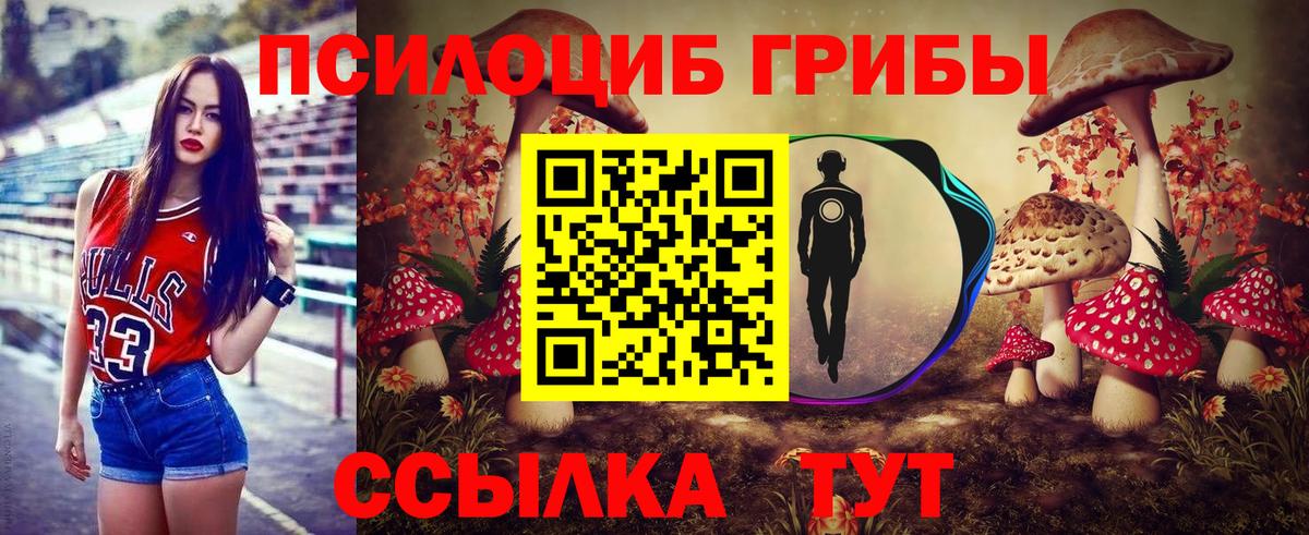 Псилоцибиновые грибы мицелий  Псилоцибиновые грибы Magic Shrooms  Волгодонск 
