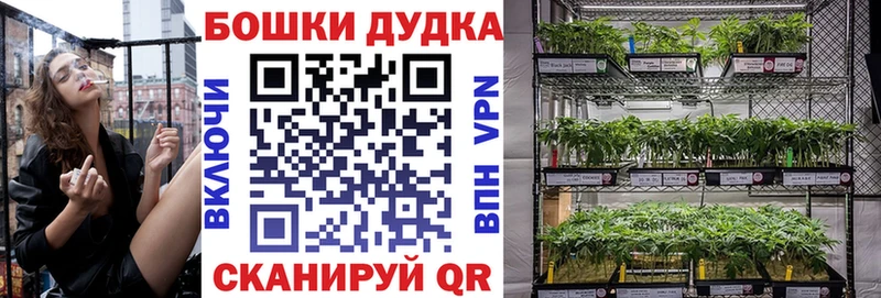 где купить наркотик  Волгодонск  Шишки марихуана LSD WEED 